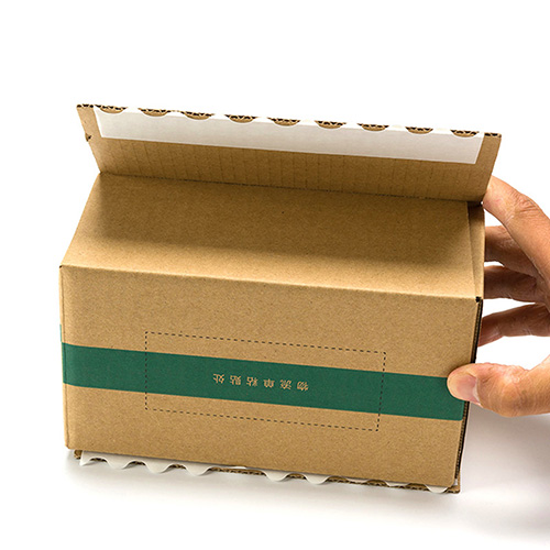 Corrugated Packaging Sample #255